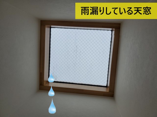 天窓　雨漏り